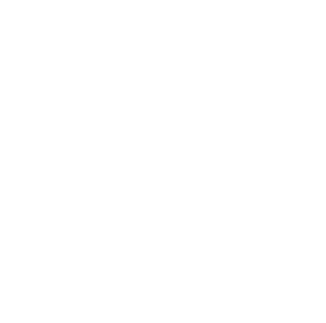 Ozone disposable